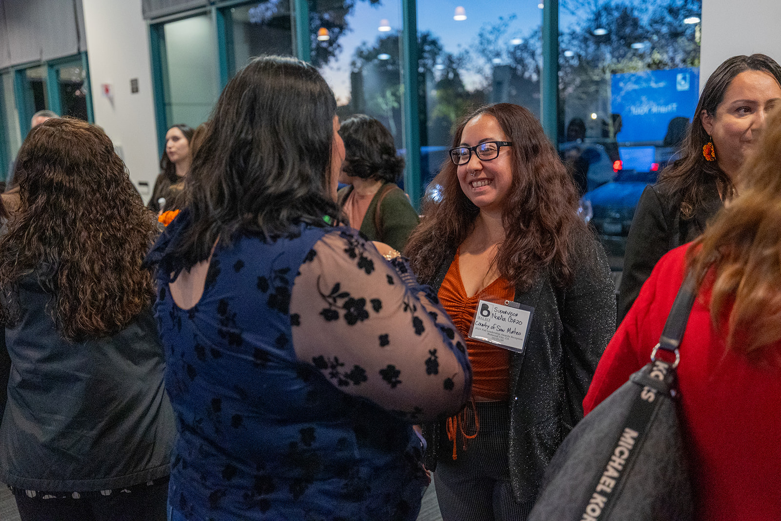 Board and governance practices